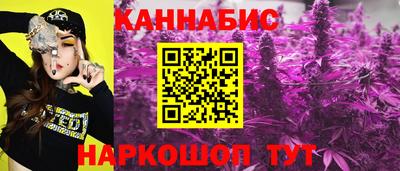 гидропоника Славгород