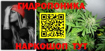 гидропоника Славянск-на-Кубани