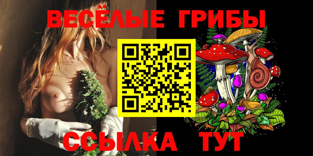 Псилоцибиновые грибы мицелий Сегежа